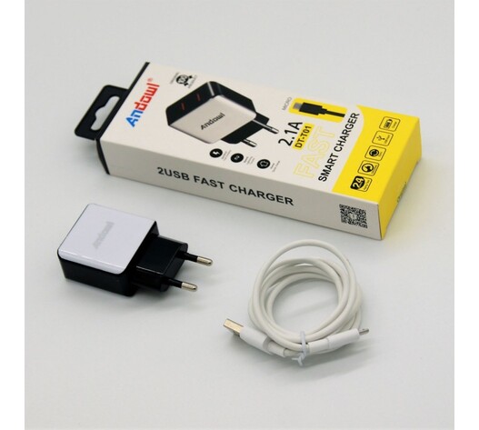 ΦΟΡΤΙΣΤΗΣ micro-USB ΜΕ 2 ΘΥΡΕΣ 2.1A ANDOWL PH-AN-DTT01