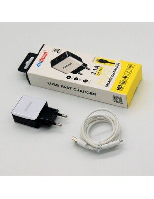 ΦΟΡΤΙΣΤΗΣ micro-USB ΜΕ 2 ΘΥΡΕΣ 2.1A ANDOWL PH-AN-DTT01