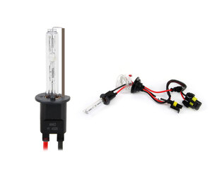 Amio – Λάμπα Xenon H1 12V 35W P14.5s 4300K για Kit Xenon Αυτοκινήτου Ανταλλακτική – 1 Τεμ. (01416/AM)