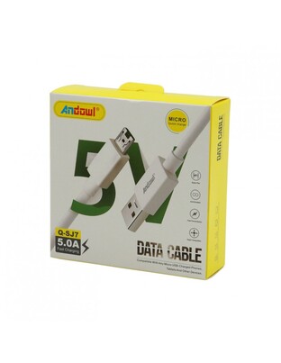 ΓΡΗΓΟΡΟΣ ΦΟΡΤΙΣΤΗΣ MicroUSB 5.0A ANDOWL Q-SJ7