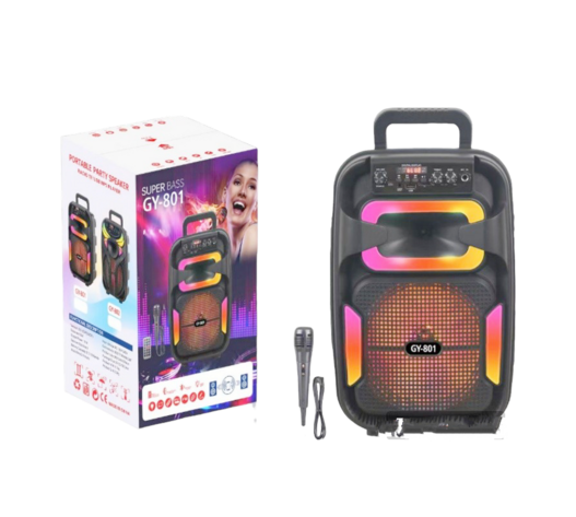 ΦΟΡΗΤΟ ΗΧΕΙΟ 8'' SUPER BASS GY-801