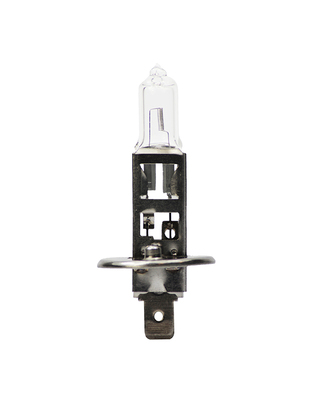 H1 12V 55W P14,5s STANDARD ΑΛΟΓΟΝΟΥ ΚΟΥΤΙ 1ΤΕΜ.