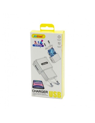 ΓΡΗΓΟΡΟΣ ΦΟΡΤΙΣΤΗΣ 3.1A ANDOWL AN-Q-DC120