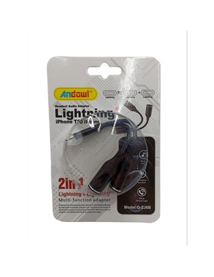ΑΝΤΑΠΤΟΡΑΣ 2ΣΕ1 lightning ΣΕ lightning ANDOWL Q-ZJ6B