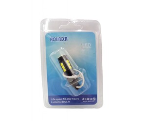 LED ΔΙΑΚΟΣΜΗΤΙΚΟΣ ΛΑΜΠΤΗΡΑΣ 12V AU-46618