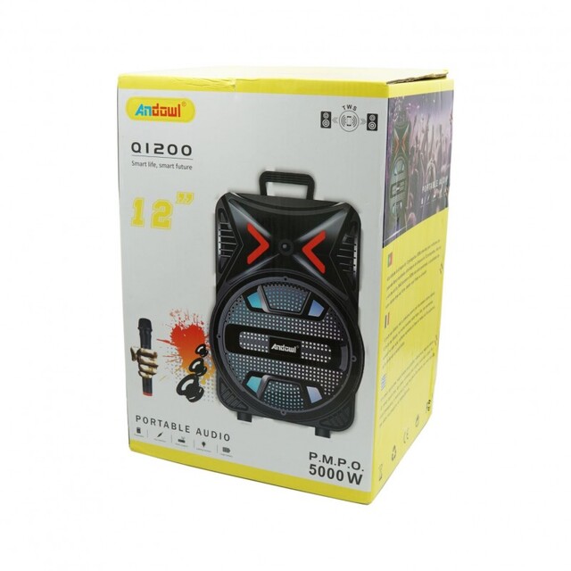 ΦΟΡΗΤΟ ΗΧΕΙΟ ΜΕ ΜΙΚΡΟΦΩΝΟ 12" 5000W Q1200