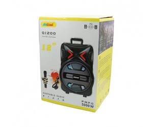 ΦΟΡΗΤΟ ΗΧΕΙΟ ΜΕ ΜΙΚΡΟΦΩΝΟ 12" 5000W Q1200