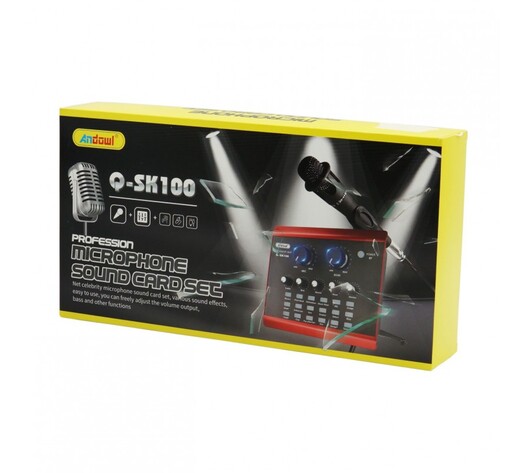 ΣΕΤ ΚΑΡΤΑ ΗΧΟΥ ΜΕ ΜΙΚΡΟΦΩΝΟ ANDOWL Q-SK100