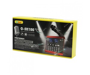 ΣΕΤ ΚΑΡΤΑ ΗΧΟΥ ΜΕ ΜΙΚΡΟΦΩΝΟ ANDOWL Q-SK100