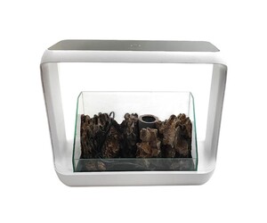 ΚΙΤ ΒΡΑΧΟΚΗΠΟΥ ΜΕ TERRARIUM ZWD-1