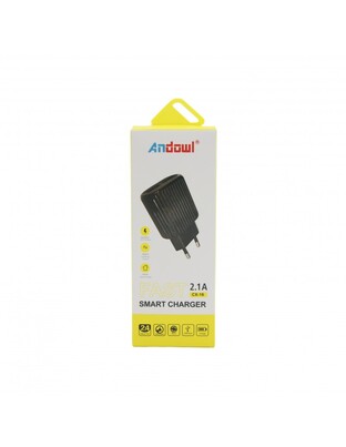 ΓΡΗΓΟΡΟΣ ΦΟΡΤΙΣΤΗΣ FAST SMART CHARGER 2.1A ANDOWL CX-16