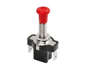 ΔΙΑΚΟΠΤΗΣ 12/24V