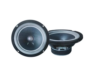 ΣΕΤ ΗΧΕΙΑ ΑΥΤΟΚΙΝΗΤΟΥ 6.5" 300W RLG-6569A