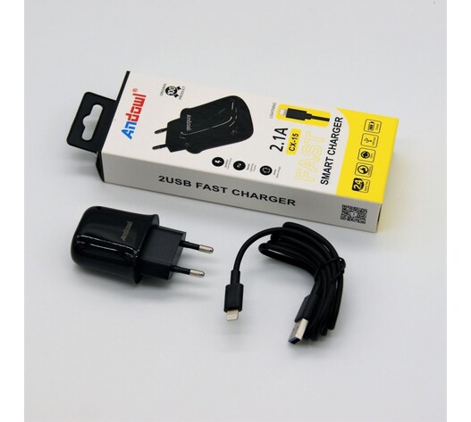 LIGHTING ΦΟΡΤΙΣΤΗΣ 2.1A  ANDOWL QY-W0614-IP