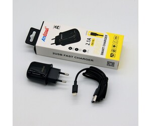 LIGHTING ΦΟΡΤΙΣΤΗΣ 2.1A  ANDOWL QY-W0614-IP