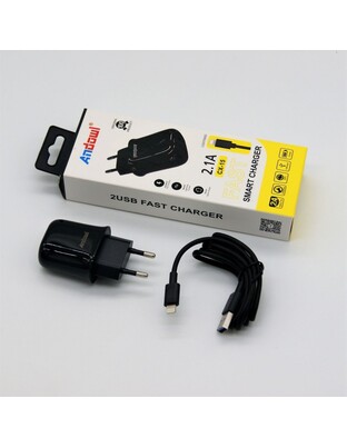 LIGHTING ΦΟΡΤΙΣΤΗΣ 2.1A  ANDOWL QY-W0614-IP