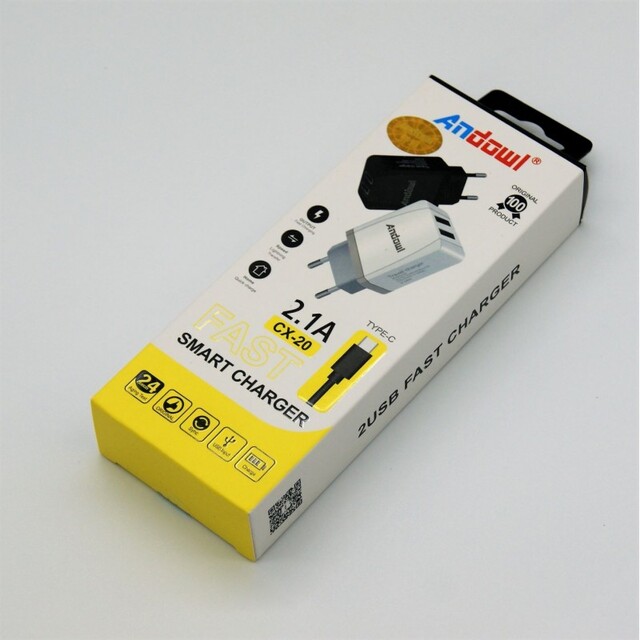 TYPE-C ΦΟΡΤΙΣΤΗΣ 2.1A ANDOWL PH-AN-4129