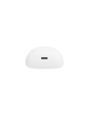 JBL TUNE FLEX 2 (WHITE)