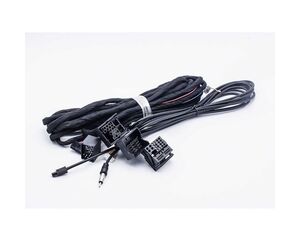 DIGITAL IQ CABLE BMW 09