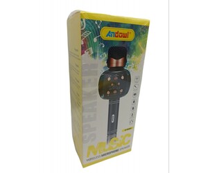 ΑΣΥΡΜΑΤΟ ΜΙΚΡΟΦΩΝΟ ΚΑΡΑΟΚΕ ANDOWL Q-M2911