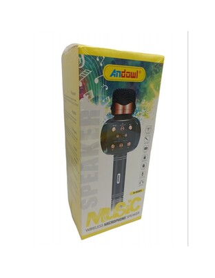 ΑΣΥΡΜΑΤΟ ΜΙΚΡΟΦΩΝΟ ΚΑΡΑΟΚΕ ANDOWL Q-M2911