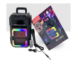 ΦΟΡΗΤΟ ΗΧΕΙΟ 8'' SUPER BASS GY-803