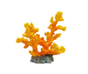 ΔΙΑΚΟΣΜΗΤΙΚΟ ΚΟΡΑΛΙ 16cm ΓΙΑ ΕΝΥΔΡΕΙΑ TY-03003