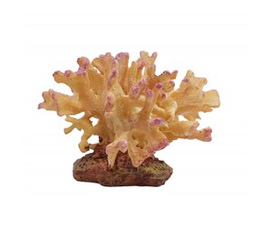 ΔΙΑΚΟΣΜΗΤΙΚΟ ΚΟΡΑΛΙ 8cm ΓΙΑ ΕΝΥΔΡΕΙΑ 68216-32