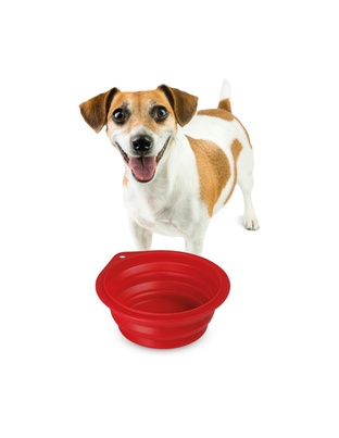 ΤΑΪΣΤΡΑ/ΜΠΟΛ ΤΑΞΙΔΙΟΥ PET TRAVEL BOWL 500 ml ΓΙΑ ΣΚΥΛΟΥΣ/ΓΑΤΕΣ/ΚΑΤΟΙΚΙΔΙΑ ΖΩΑ (ΣΙΛΙΚΟΝΗ/ΔΙΑΦΟΡΑ ΧΡΩΜΑΤΑ)