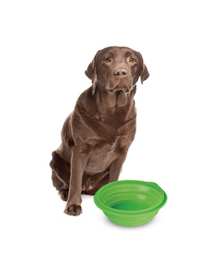 ΤΑΪΣΤΡΑ/ΜΠΟΛ ΤΑΞΙΔΙΟΥ PET TRAVEL BOWL 1000 ml ΓΙΑ ΣΚΥΛΟΥΣ/ΓΑΤΕΣ/ΚΑΤΟΙΚΙΔΙΑ ΖΩΑ (ΣΙΛΙΚΟΝΗ/ΔΙΑΦΟΡΑ ΧΡΩΜΑΤΑ)