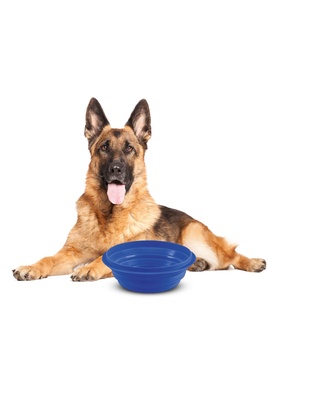 ΤΑΪΣΤΡΑ/ΜΠΟΛ ΤΑΞΙΔΙΟΥ PET TRAVEL BOWL 2000 ml ΓΙΑ ΣΚΥΛΟΥΣ/ΓΑΤΕΣ/ΚΑΤΟΙΚΙΔΙΑ ΖΩΑ (ΣΙΛΙΚΟΝΗ/ΔΙΑΦΟΡΑ ΧΡΩΜΑΤΑ)