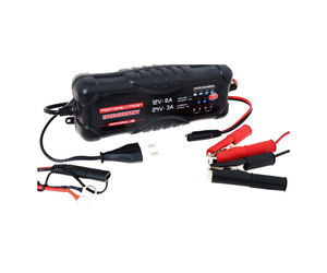 Amio - ΦΟΡΤΙΣΤΗΣ ΜΠΑΤΑΡΙΑΣ 12V - 6A/24V - 3A - 230V - 50Hz - 1 ΤΕΜ. (CC42215/AM)